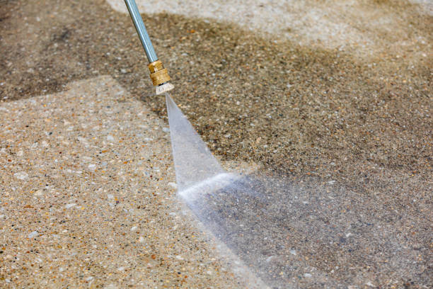 Best Driveway Cleaning and Restoration in Tice, FL